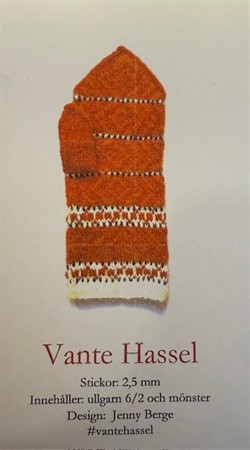 Stickning set Vante Hassel Röd